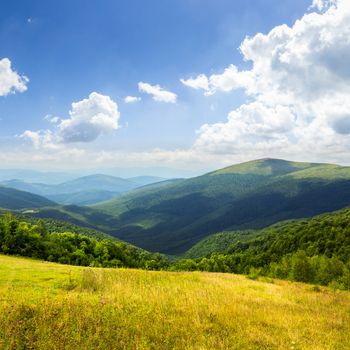 composite mountain summer landscape. trees near meadow on hillside in morning light