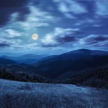 composite mountain summer landscape. trees near meadow on hillside at night in full moon light