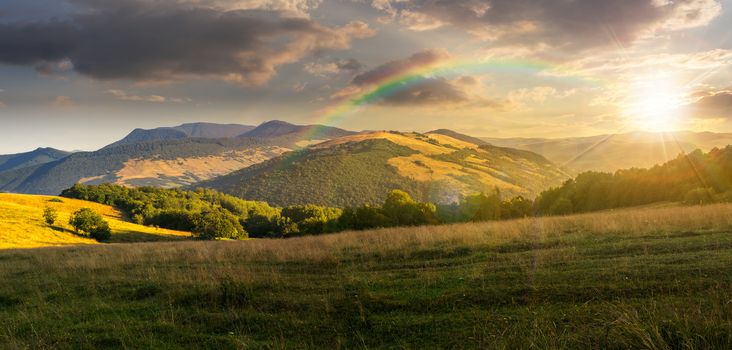 panoramic summer landscape. row of trees on a meadow in high mountains in sunset light with rainbow