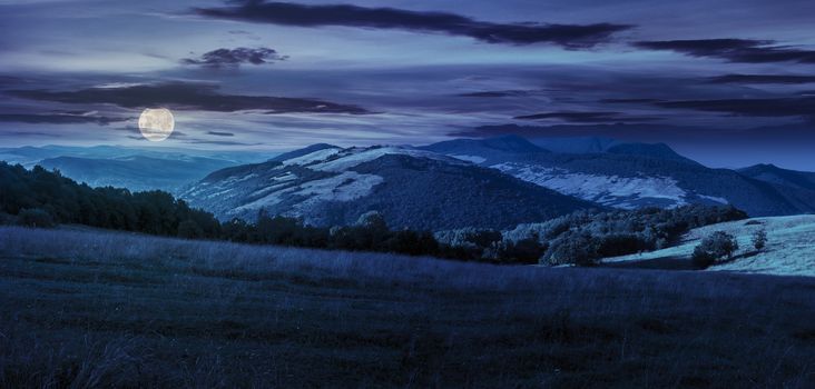 panoramic summer landscape. row of trees on a meadow in high mountains at night in full moon light