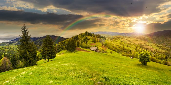 abandoned farm field with ruined barn in mountains near coniferous forest in sunset light with rainbow