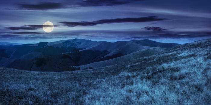 wild grass on highland meadow at the top of the mountain range at night in full moon light