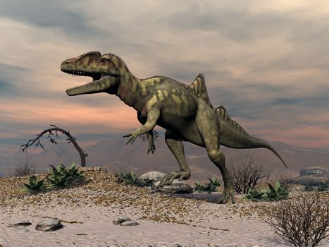 Concavenator dinosaur walking in the desert by sunset - 3D render