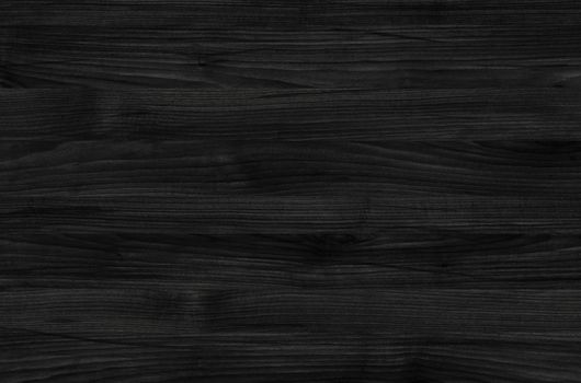 Black wood texture. background old panels. wooden texture