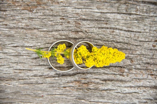 View of a pair of white golden wedding rings connected to nature