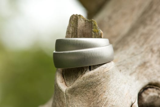 View of a pair of white golden wedding rings connected to nature