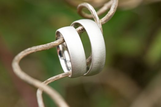 View of a pair of white golden wedding rings connected to nature