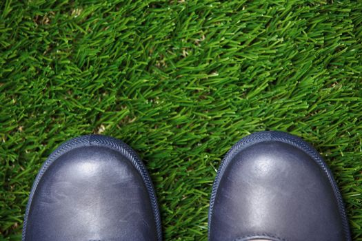 View from above to the boots standing on a grass