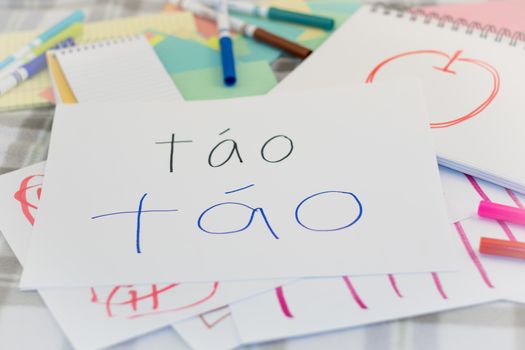 Vietnamese; Kids Writing Name of the Fruits for Practice (Translation; Apple)