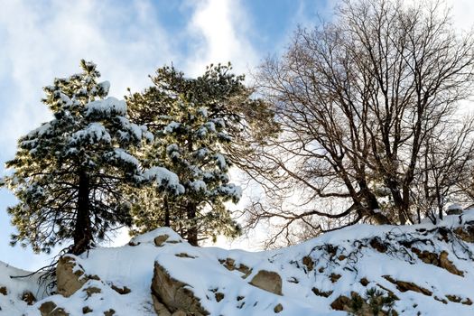 Desert Mountain Cliff, Climate Changeat Southern California, Big Bear Mountain, San Bernardino, 2016