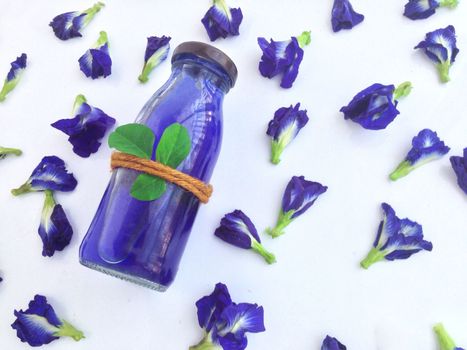 Fresh Butterfly pea  drink