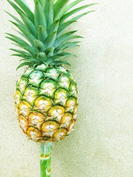 Pineapple  on plywood background