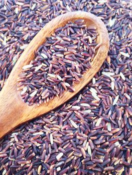 Rice berry with wooden spoon