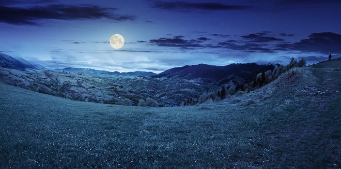 village in mountains behind the agricultural meadow with flowers on  hillside at night in full moon light