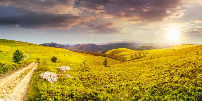 composite image of panoramic mountain landscape.  winding road on hillside meadow, few stones and trees along the road. conifer forest far away on mountains in sunset light