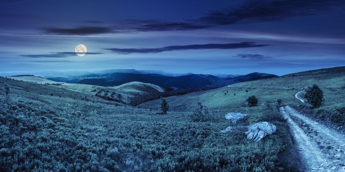 composite image of panoramic mountain landscape.  winding road on hillside meadow, few stones and trees along the road. conifer forest far away on mountains at night in full moon light