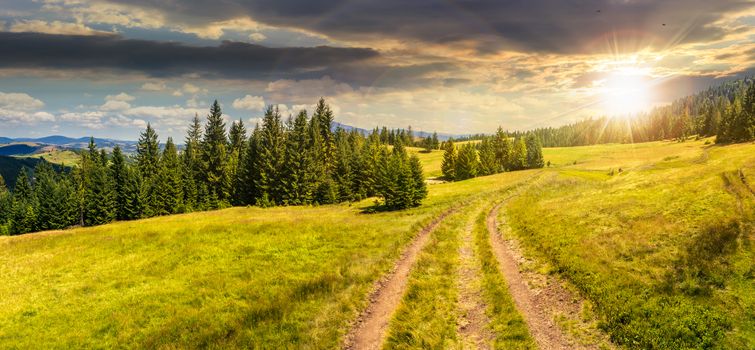 composite panoramic image mountain landscape.  curve path through the meadow on hillside near coniferous forest in sunset light