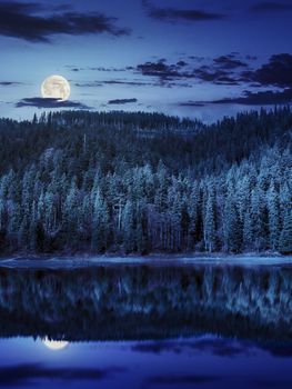 composite autumn  landscape with lake with reflection in pine forest on mountain hill at night in full moon light