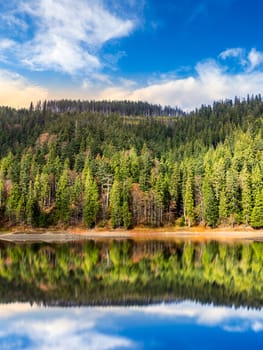 composite autumn  landscape with lake with reflection in pine forest on mountain hill in morning light