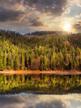 composite autumn  landscape with lake with reflection in pine forest on mountain hill in sunset light