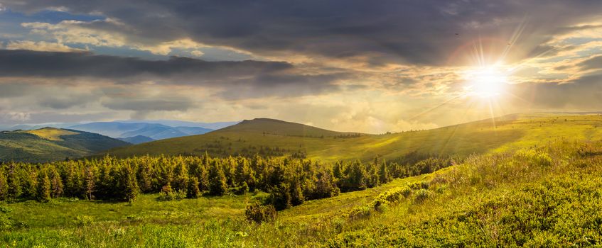 composite image of mountain range with coniferous forest and meadow on  hillside in sunset light