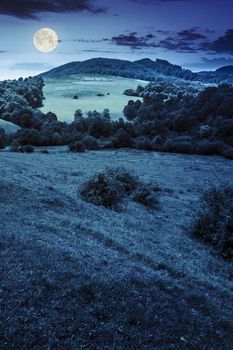 agricultural meadow with flowers on  hillside of mountain with forest at night in full moon light