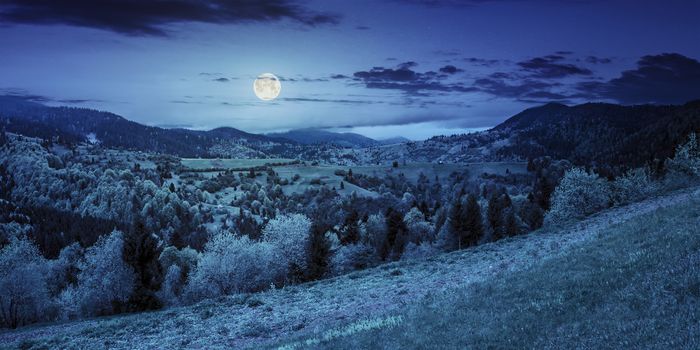 panoramic landscape of village in mountains near the agricultural meadow with flowers on  hillside behind the forest at night in full moon light