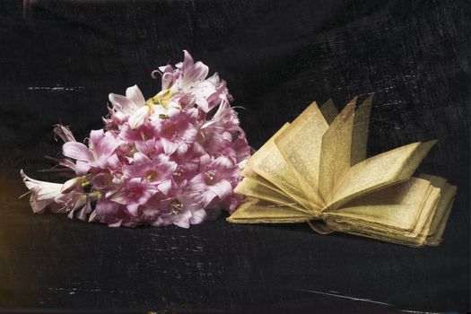 Bouquet of white and pink goblets with antique book. Romantic elaboration. Black background