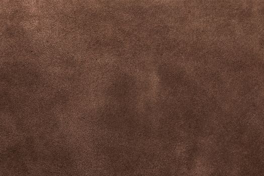 texture of suede brown, studio, subject survey