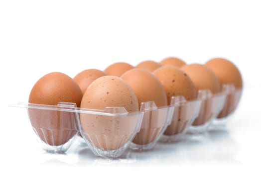 eggs packed isolated white background