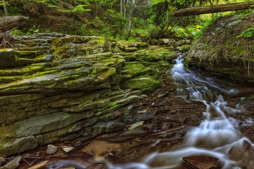 beautiful small stream in green forest, Bulgaria