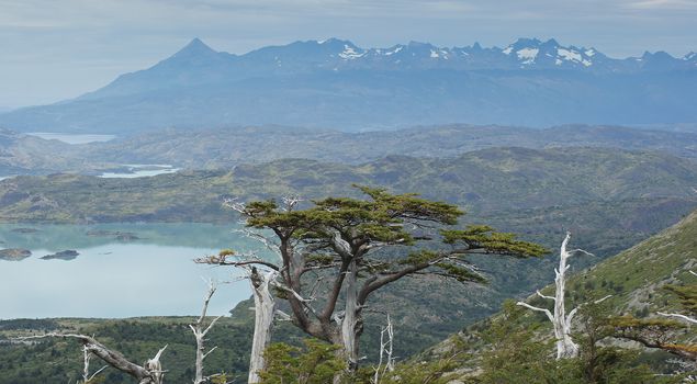 Landscape of the Torres del Paine National Park, Chile, South America