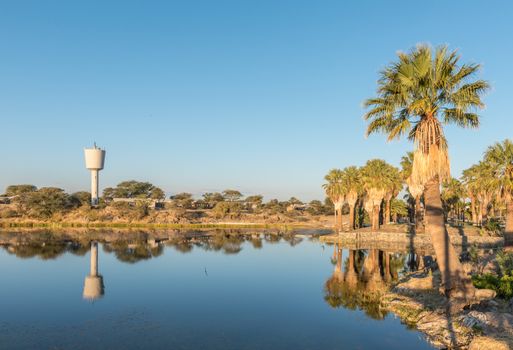 Sunset view with reflections of palm trees of the dam and reservoir at Gross Barmen, near Okahandja in the Otjozondjupa Region of Namibia