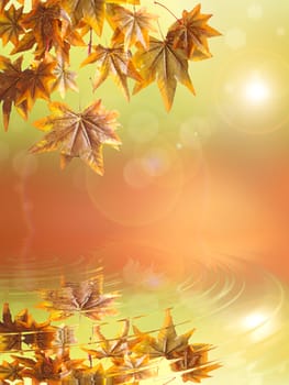 Autumn leaves hanging from a branch reflecting in a pool of water