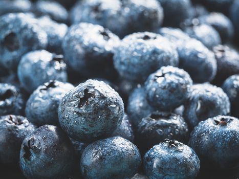 Extreme close up view of blueberries. Selective focus. Copy space. Bilberry on wooden Background. Blueberry antioxidant. Concept for healthy eating and nutrition