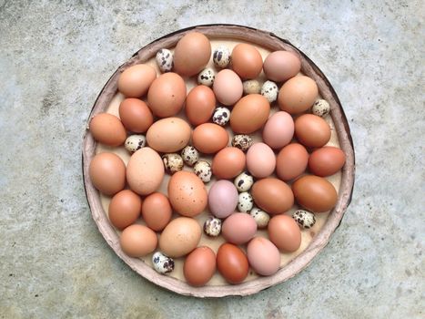 Chicken eggs and Quail eggs in wooden plate on cement background