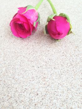 rose on plywood background