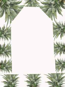 Pineapple leaves frame