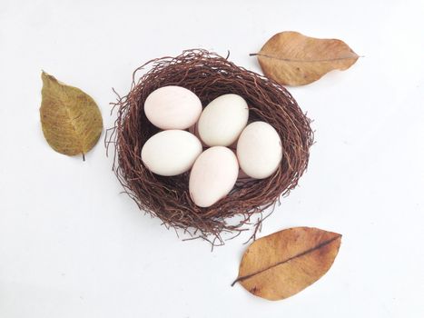 duck egg on nest made from banyan tree air root with white background and dry leaf