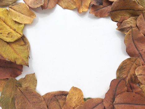 Dry leaves frame for text