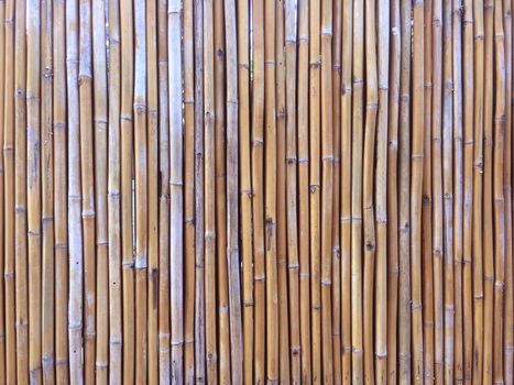 Bamboo wall or Bamboo fence texture background.