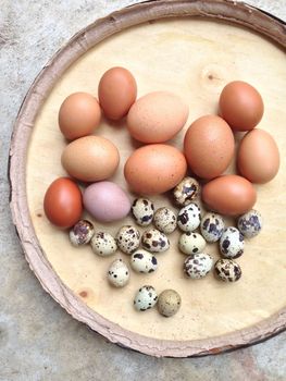 Chicken eggs and Quail eggs in wooden plate on cement background