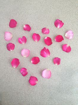 rose on plywood background