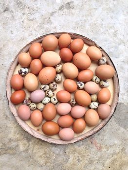 Chicken eggs and Quail eggs in wooden plate on cement background