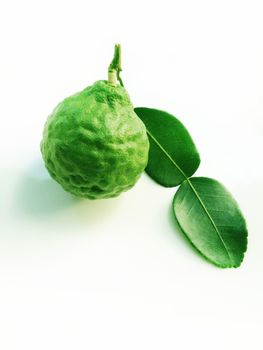 Kaffir Lime or Bergamot on white background