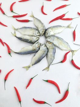 Short mackerel with chili