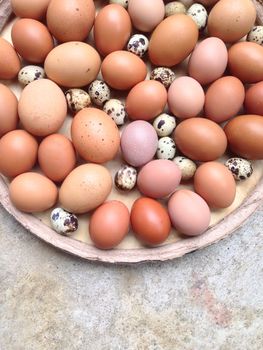 Chicken eggs and Quail eggs in wooden plate on cement background