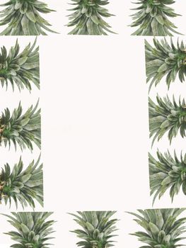 Pineapple leaves frame