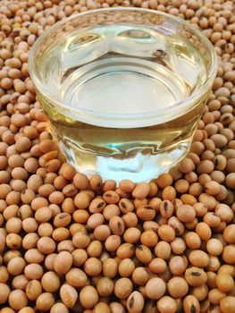 Soy beans oil