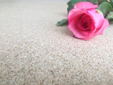 rose on plywood background